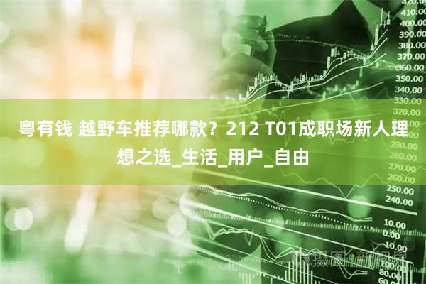 粤有钱 越野车推荐哪款？212 T01成职场新人理想之选_生活_用户_自由