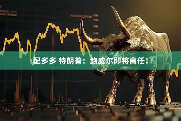 配多多 特朗普：鲍威尔即将离任！