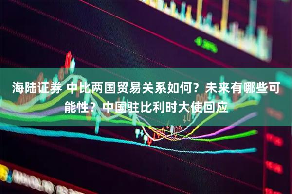 海陆证券 中比两国贸易关系如何？未来有哪些可能性？中国驻比利时大使回应